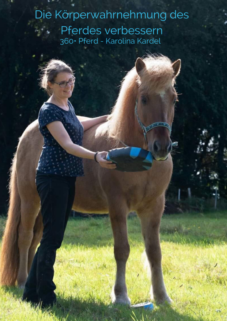 Die Körperwahrnehmung des Pferdes verbessern – Pferdeergotherapie (Pfergo) kennenlernen mit Karolina Kardel