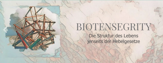 Biotensegrität ist keine Reitweise – Biotensegrität am Pferd erklärt von Maren Diehl
