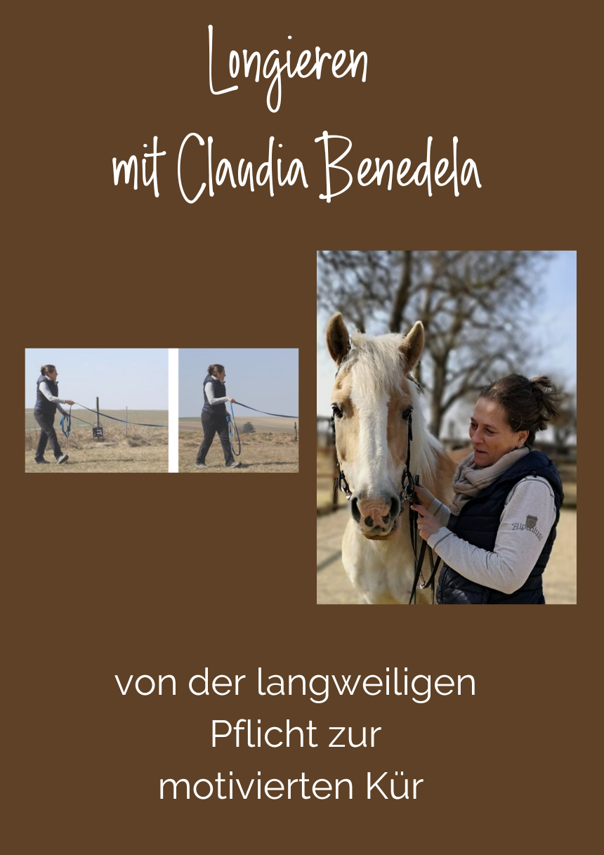 Longieren mit Claudia Benedela – von der langweiligen Pflicht zur motivierten Kür