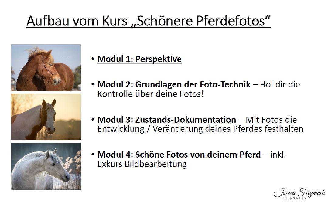 Schönere Pferdefotos selber machen mit Jessica Freymark – Bild 6