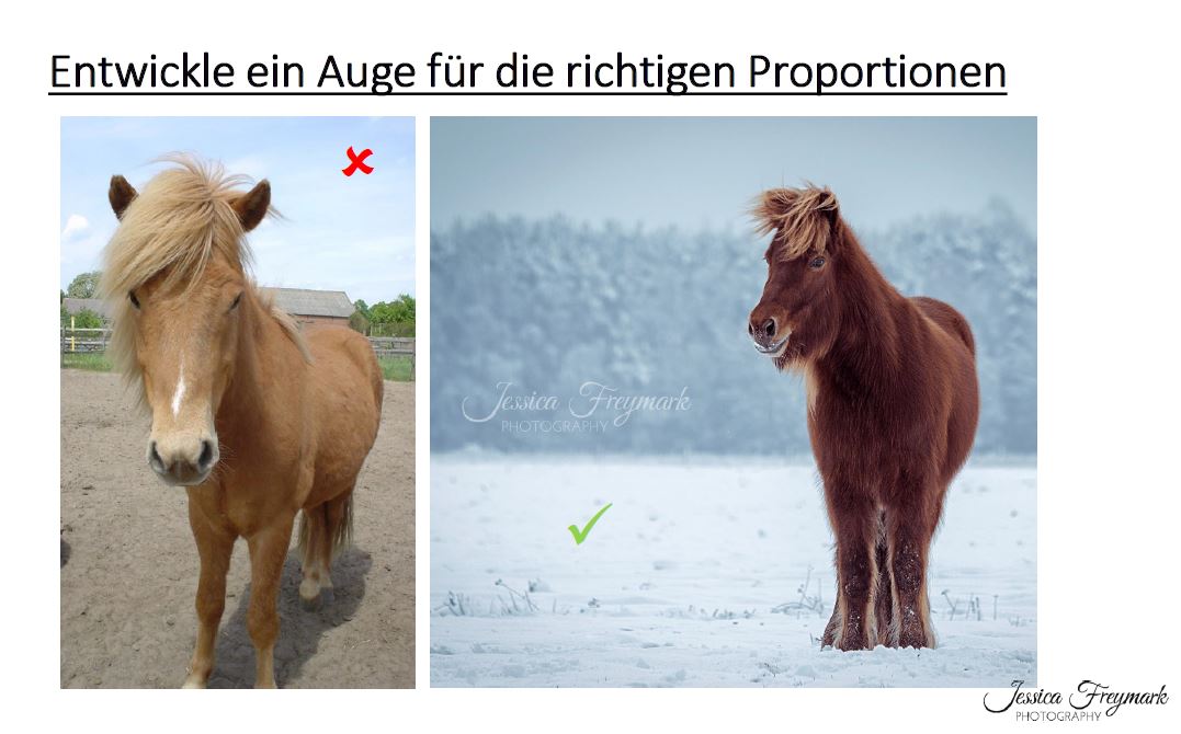 Schönere Pferdefotos selber machen mit Jessica Freymark – Bild 5