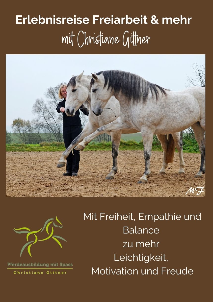 Erlebnisreise Freiarbeit & mehr mit Christiane Gittner von Pferdeausbildung mit Spaß