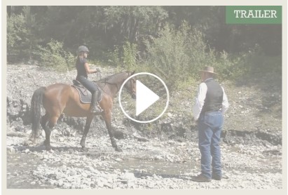 "Partnerschaft mit dem Pferd" mit Berni Zambail – Bild 3