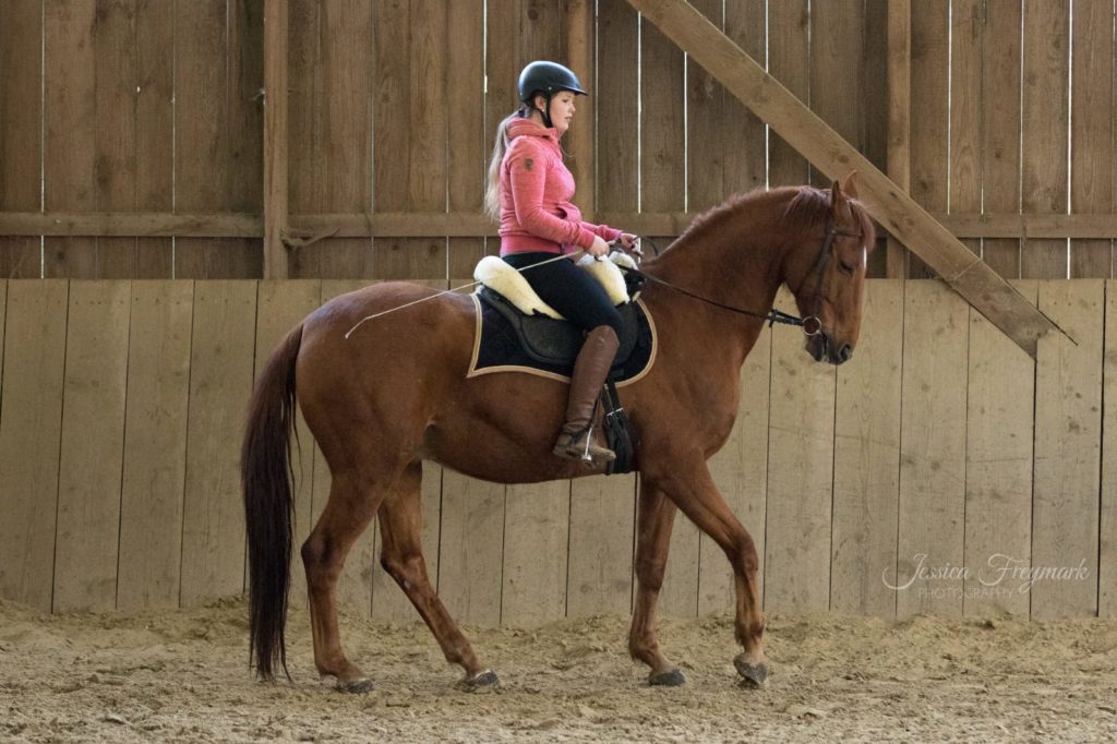 Der Reitersitz formt das Pferd mit Mera Brockhage