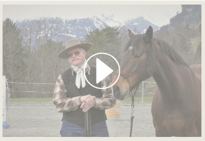 „Partnerschaft mit dem Pferd“ mit Berni Zambail