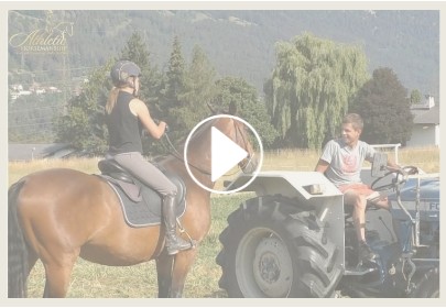 "Partnerschaft mit dem Pferd" mit Berni Zambail – Bild 2