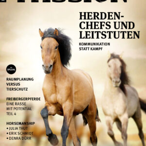 PASSION_4-2020