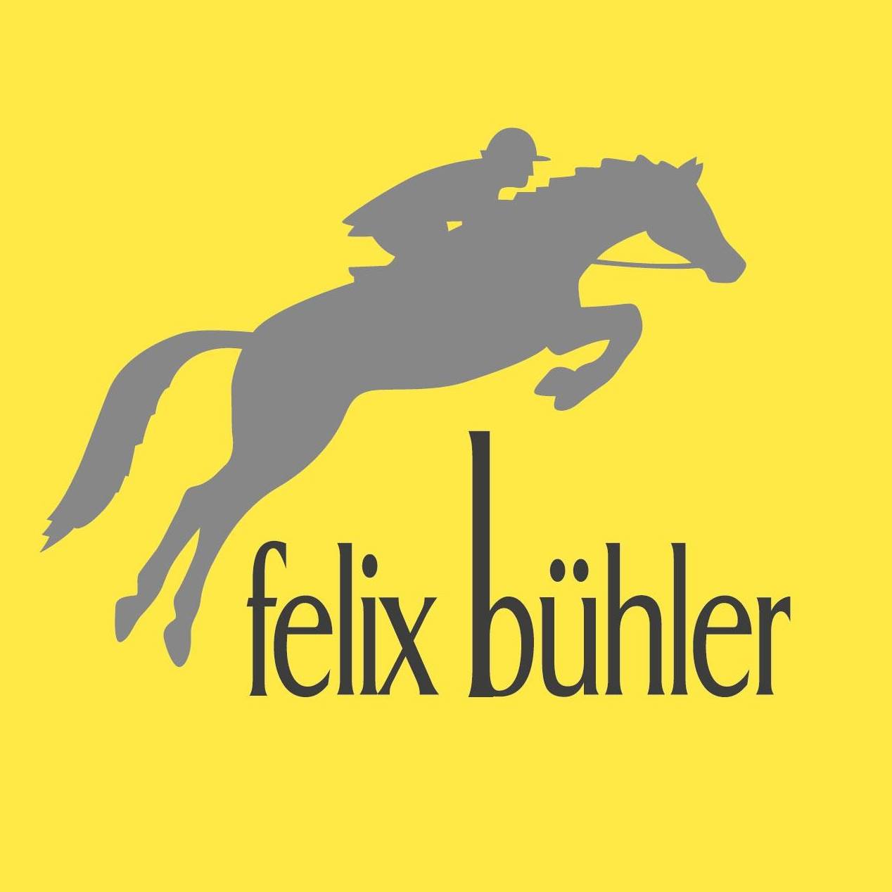 felix_buehler_
