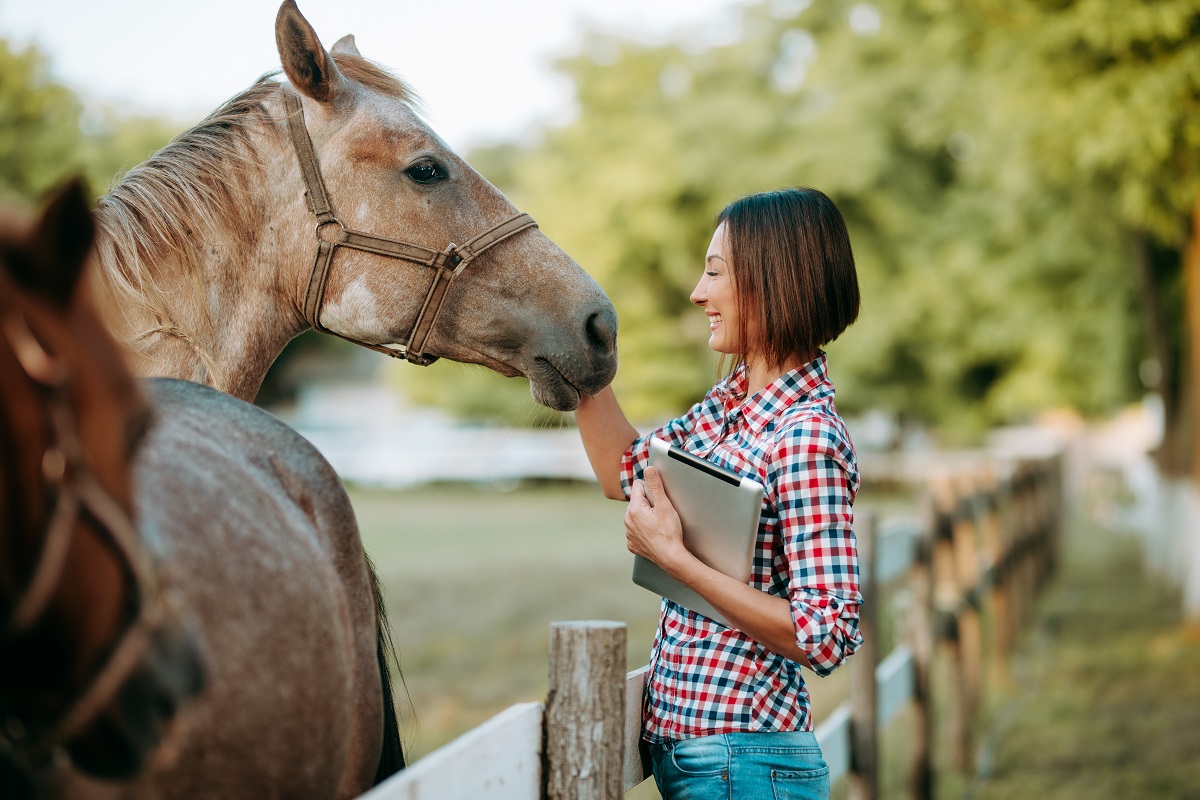 Female working on digital tablet in farm horse Onlinewerbung