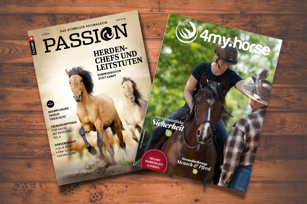 magazin Onlinewerbung