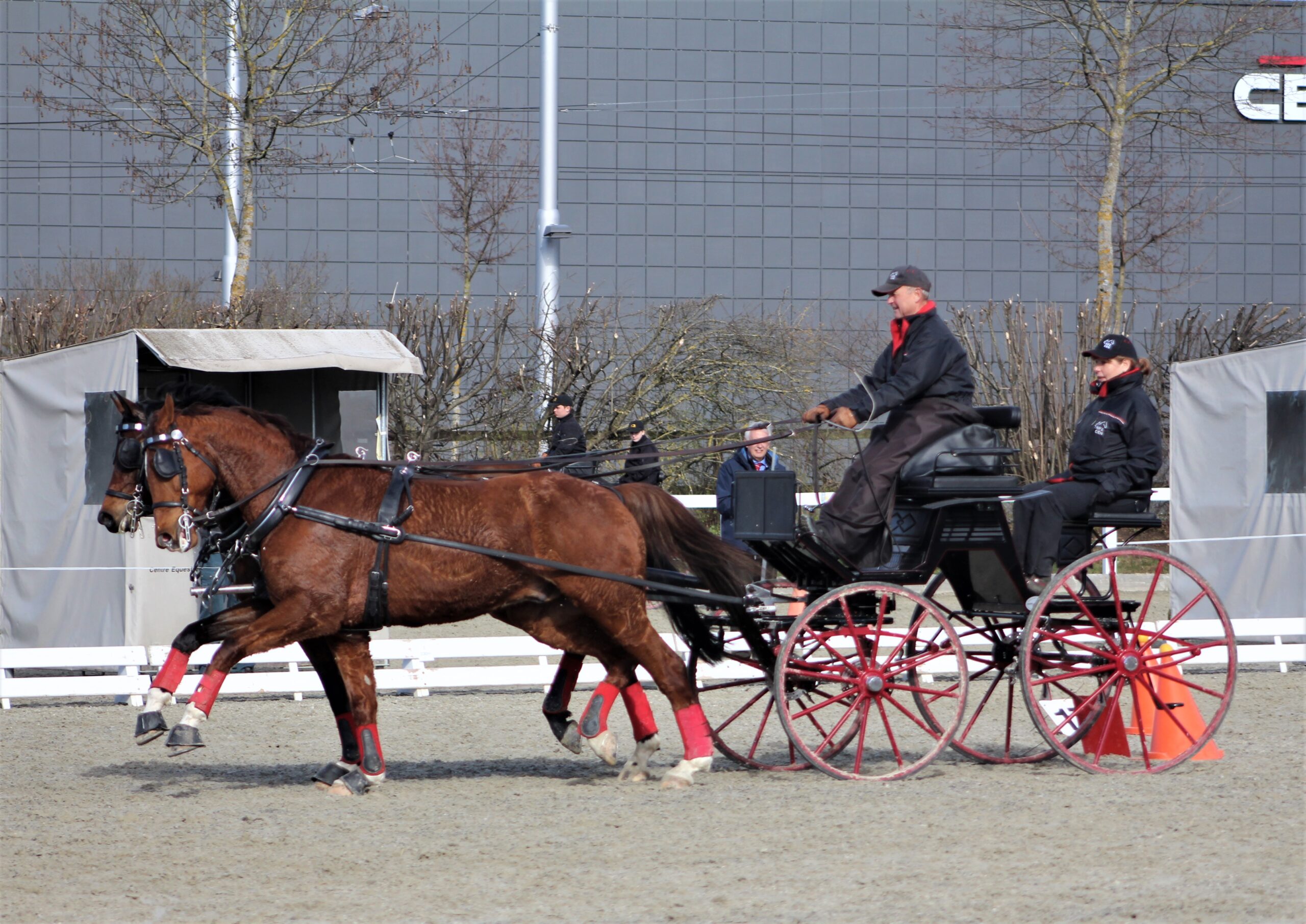 Werner Ulrich