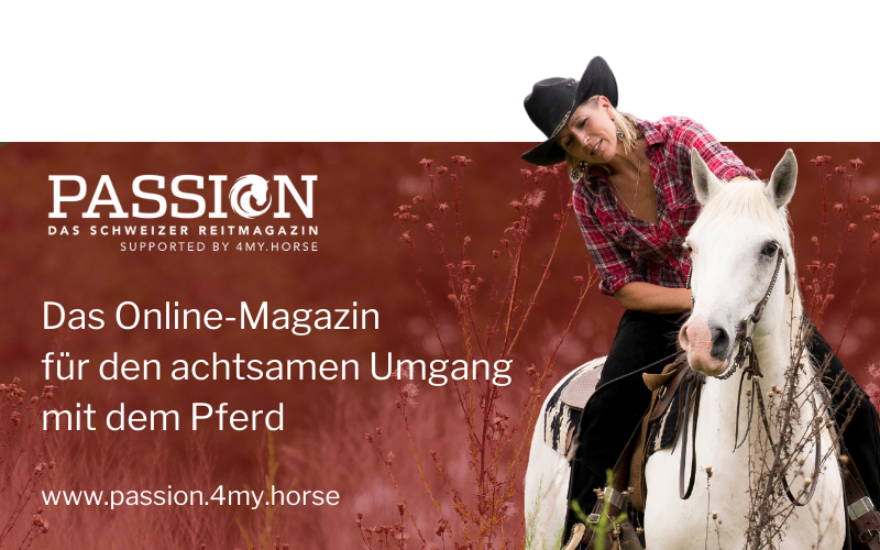Banner passion4myhorse