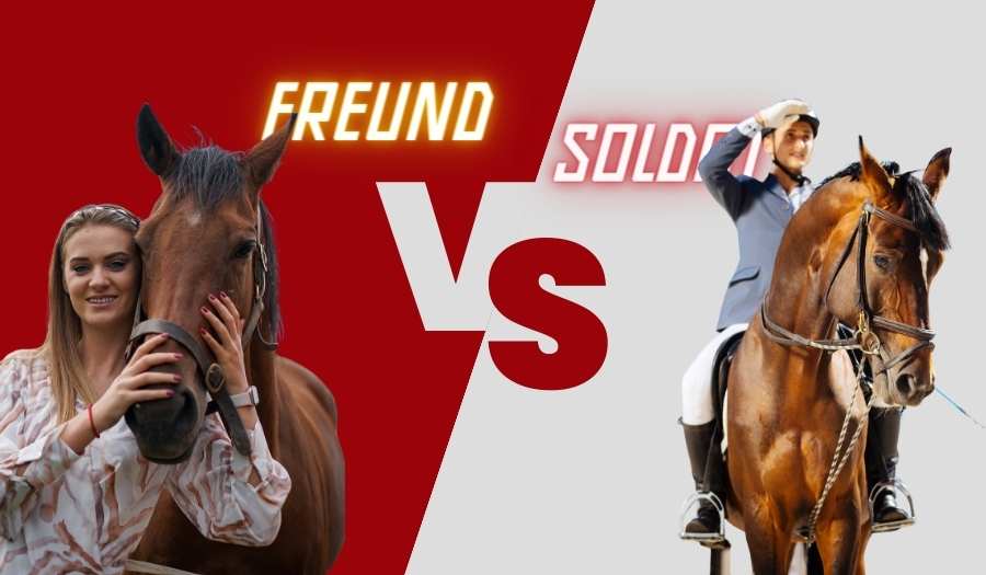 Suchst Du einen Freund oder einen Soldaten