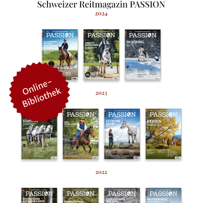 Digital-Member & PASSION – Bild 3