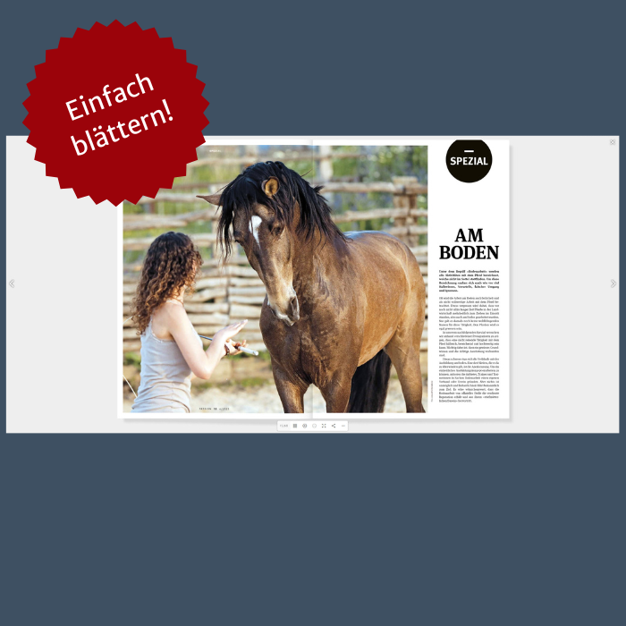 Digital-Member & PASSION – Bild 2