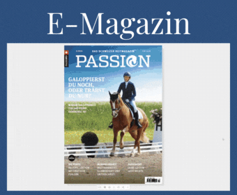 Ad E-Magazin blau