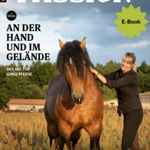 HERBST 2024 - E-Magazin