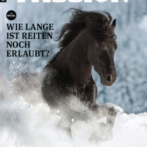 WINTER 2025 - Print
