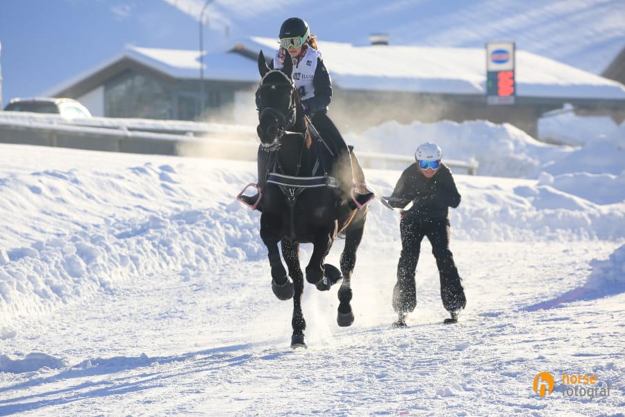 Skijöring 2 Pferde benötigen Raufutter