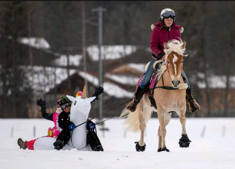 Skijöring3