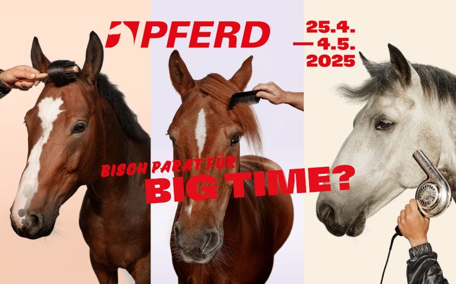 PFERD 2025 – Ein muss für alle Pferdefans