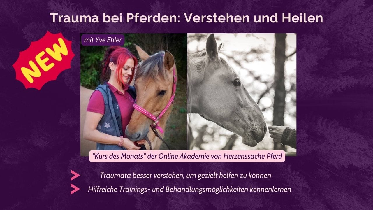 EK_TRauma_Yve-Ehler-1