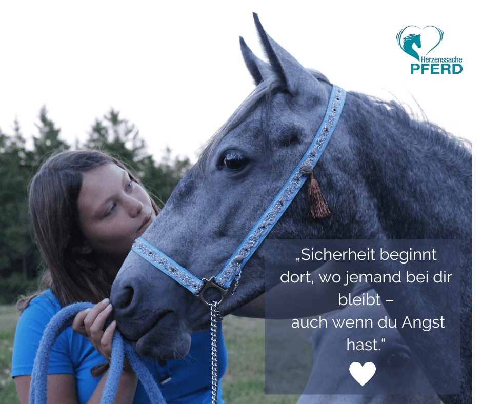 mein-liebes-Pferd-3