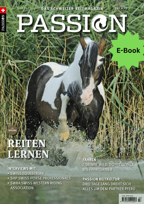 SOMMER 2025 - E-Magazin