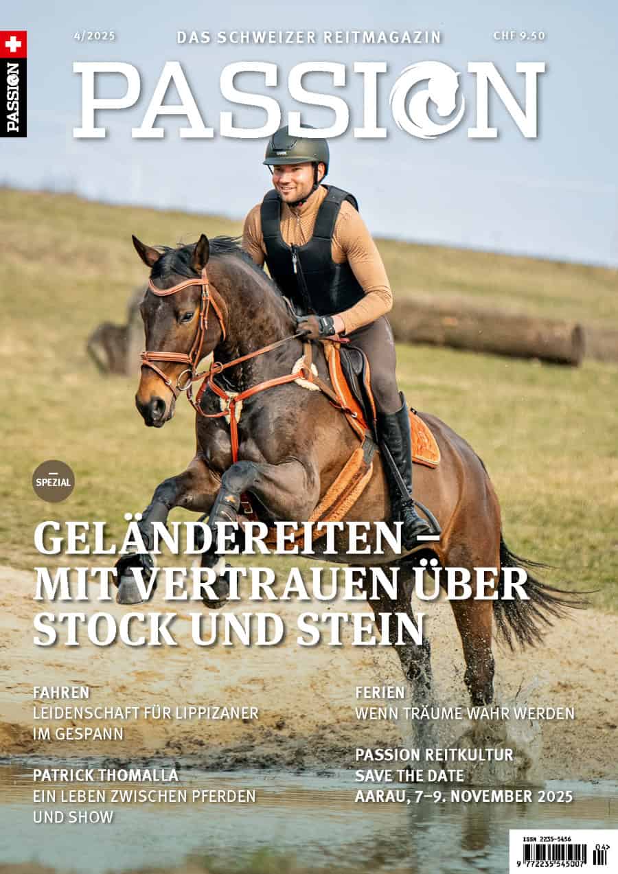 HERBST 2025 - Print