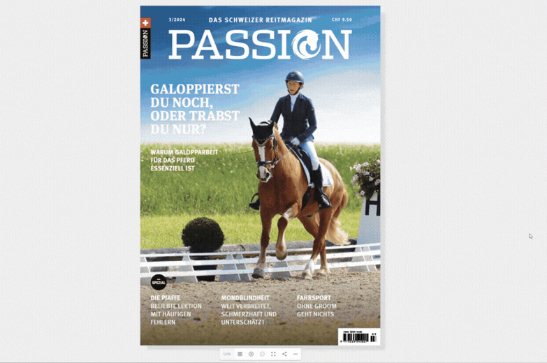 Ad E-Magazin