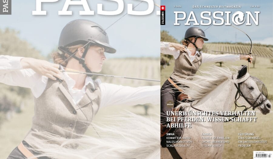 PASSION Sommer 03/26