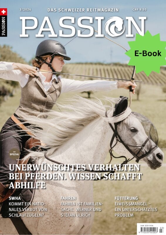 SOMMER 2026 E-Magazin